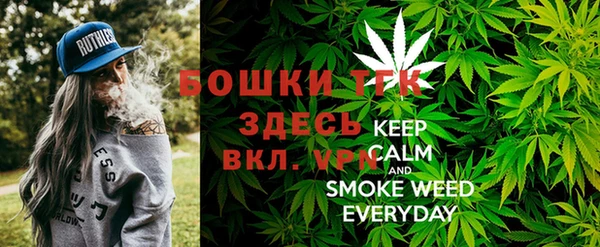 прущие грибы Бородино