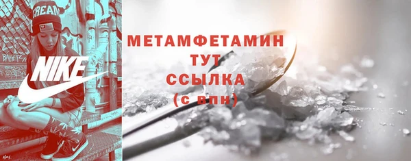 прущие грибы Бородино
