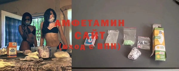 прущие грибы Бородино