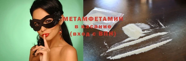 прущие грибы Бородино