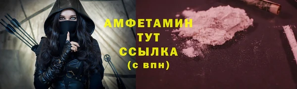 прущие грибы Бородино