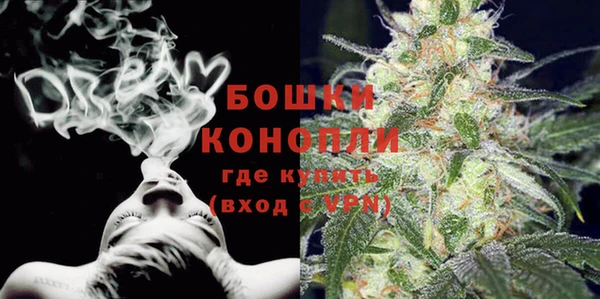прущие грибы Бородино