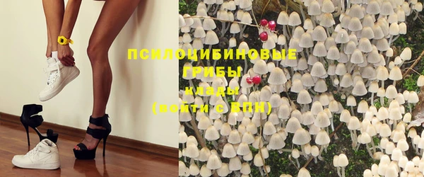 амф Бронницы