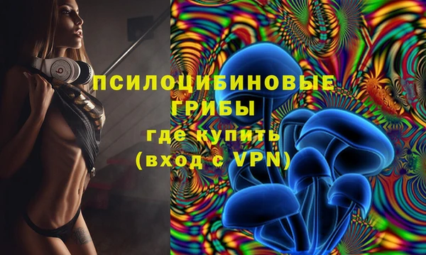 амф Бронницы