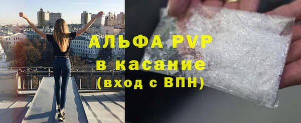 прущие грибы Бородино